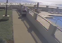 picture1